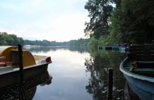 Wedding Apartment | Cosy flat in trendy Sprengelkiez (legal)