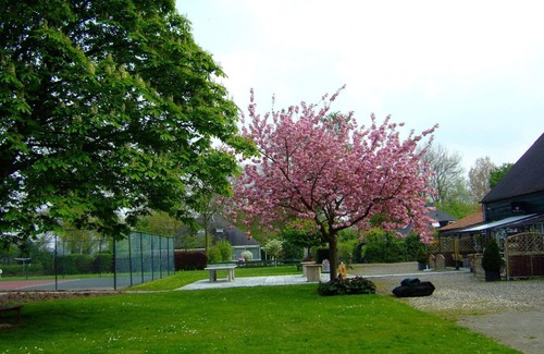 Stavenisse House | Cosy four-person bungalow