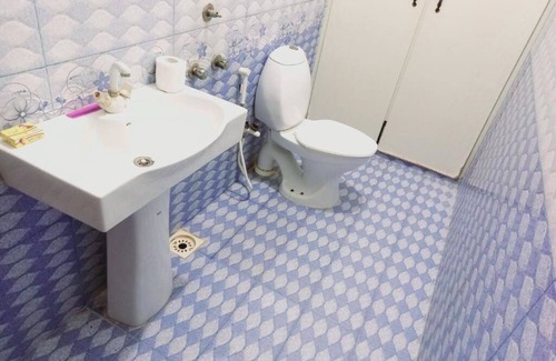 Gulshan-E-Jamal Hotel | Cosy Inn Guest House : Deluxe Double Room