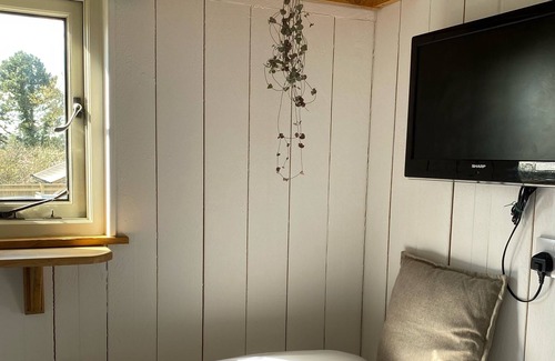 Lifton Cabin | Cosy Shepherds Hut