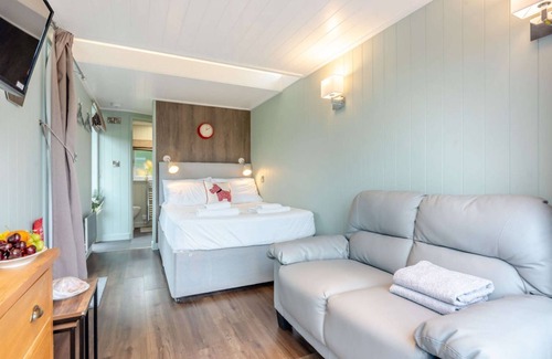 Bretforton Cabin | Cosy studio lodge with hot tub - Hydrangea