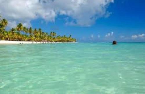 Sainte-Anne Apartment | COSY TAMARINS 1 à quelques pas du lagon