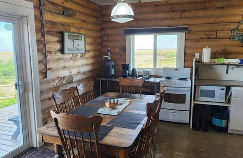 Castor Other | COTC: Log Cabin Glamping