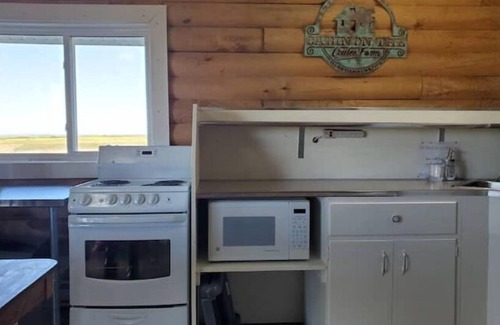 Castor Other | COTC: Log Cabin Glamping