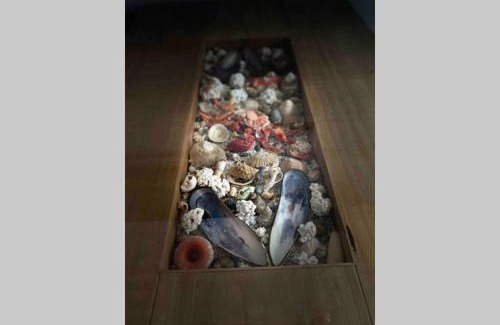 El Cotillo Apartment | COTILLO NORTE