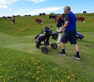 Stroud Apartment | Cotswold Aparthotel