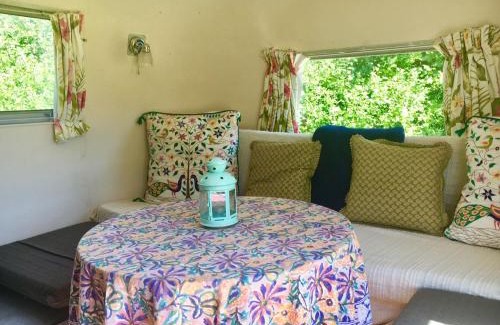 Whichford Other | Cotswolds Camping at Holycombe