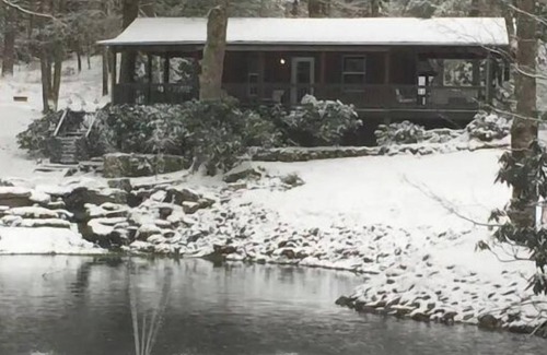 Glenville Cottage | Cottage at Casuarina Lodge - Luxury, Pet Friendly