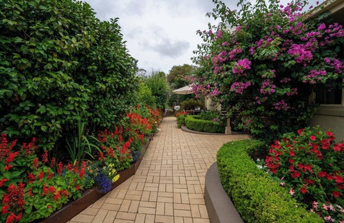 Catalina Apartment | Cottage Garden Suite on Derribong
