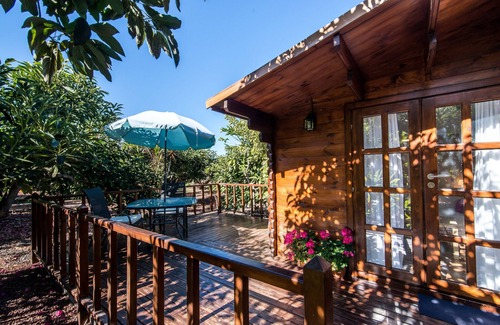 La Orotava Cottage | Cottage In Avocado Plantation Near Bollullo Beach and Puerto Cruz