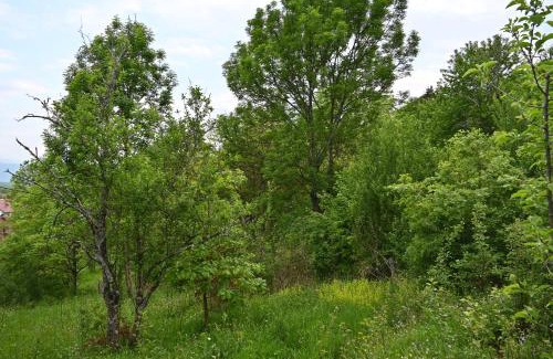 North Macedonia Other | Cottage Kitka