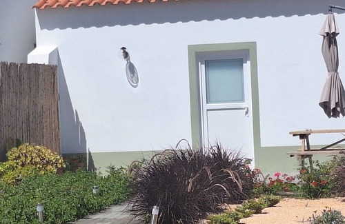 Zambujeira do Mar House | Cottage near the sea zambujeira do mar