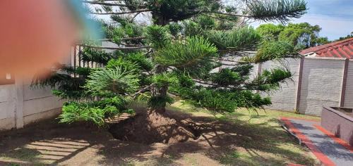 Gonubie Apartment | Cottage on 14th