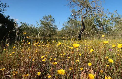 Parragil Apartment | Cottage Perfect place to Relax PRIVATE POOL