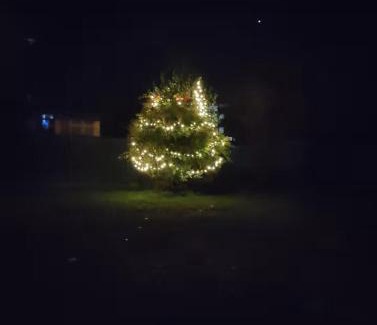 Berra Bed & Breakfast | Cottage -Room