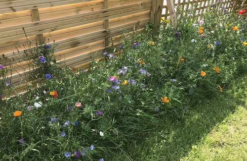 Bressuire Cottage | Cottage with pony near puy du fou
