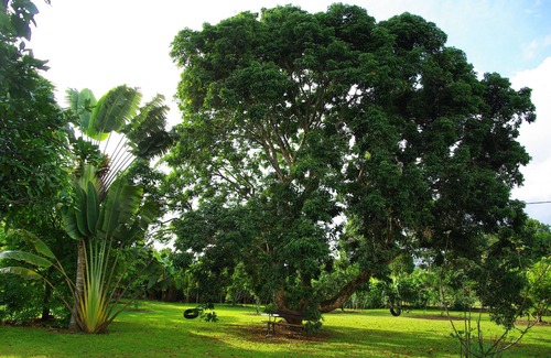 Sainte-Rose Cottage | Cottages in Ste Rose in lush garden