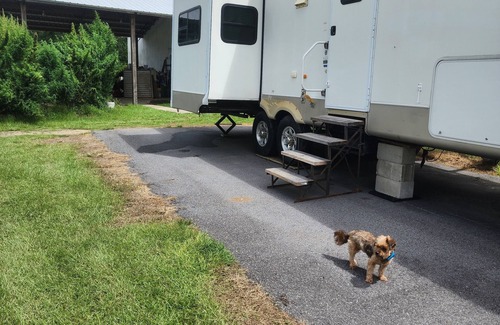 Cottondale RV Rental | Cougar RV in beautiful camp ground.