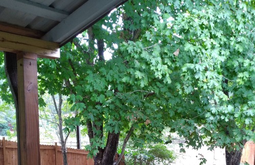 Hickory Cottage | Country Cottages