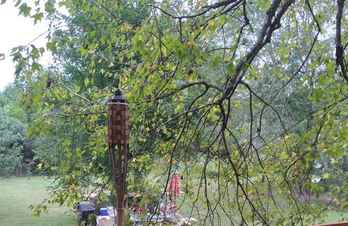 Hickory Cottage | Country Cottages