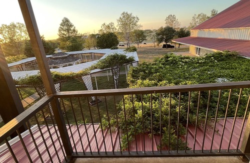 Denton Apartment | Country, Cows & Fishing Lake Studio- 2nd floor