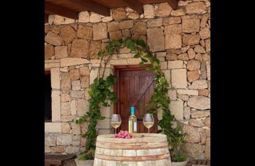 Arico Viejo Villa | Country house "Finca Rural Los Olivos en Arico" with mountain views, WiFi, garden & terrace