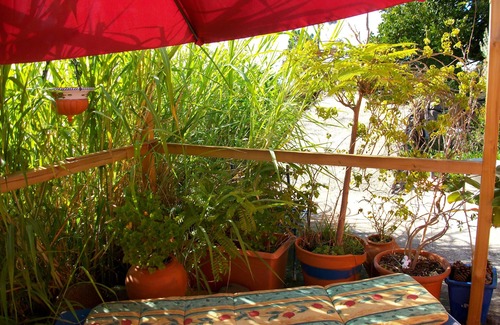 Puntagorda House | COUNTRY HOUSE ON BIO-ORANGEN-FINCA, 40.000m2, gr. SONNENTERRASSE, magical moments!