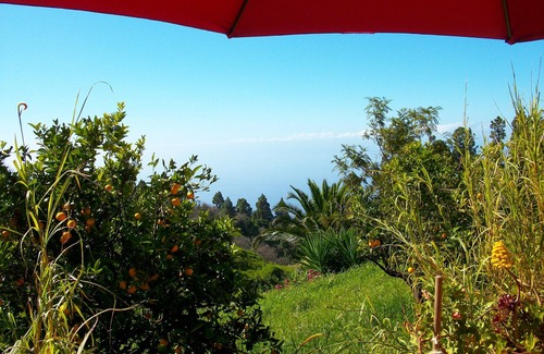 Puntagorda House | COUNTRY HOUSE ON BIO-ORANGEN-FINCA, 40.000m2, gr. SONNENTERRASSE, magical moments!