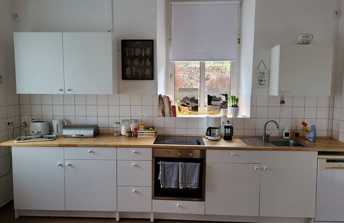 Halver Villa | Country idyll, child-friendly, minipigs, ponies, up to 11 people