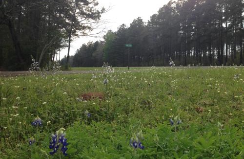 Broaddus Hotel | Country Inn Motel