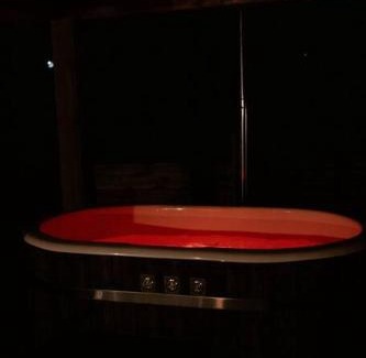 Dromore House | Countryside Shepherds Hut with hot tub wood fired