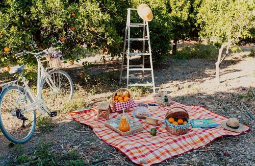 Vale de Seixos Apartment | Countryside Studio