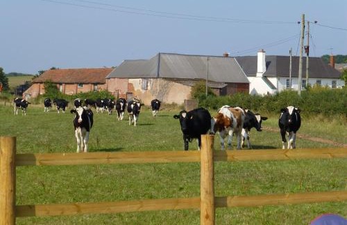 Clyst Saint George Apartment | Courtbrook Farm