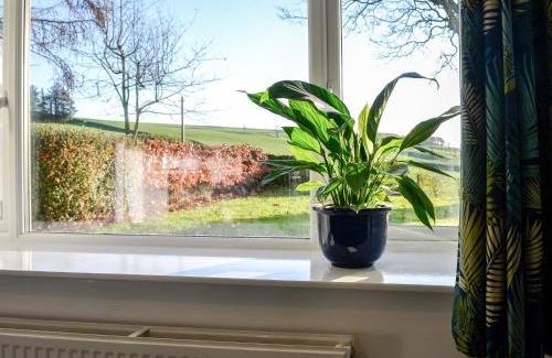 Dalbeattie House | Cowar Bothy