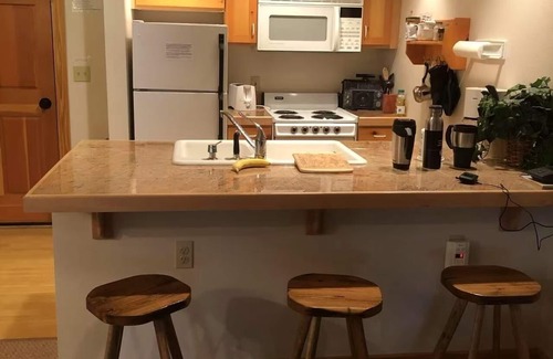 Driggs Condo | Cozy 1-bedroom condo in charming Driggs with WiFi