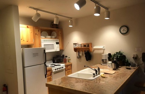 Driggs Condo | Cozy 1-bedroom condo in charming Driggs with WiFi