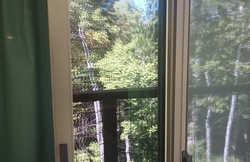 Driggs Condo | Cozy 1-bedroom condo in charming Driggs with WiFi