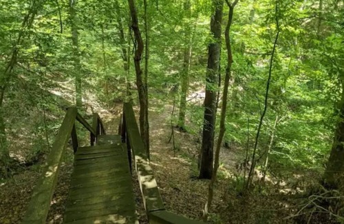 Elliott Cabin | Cozy - 1 bedroom tiny cabin sleeps 2 adults 2 children comfortably