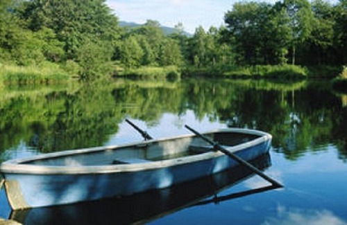 Milford Cabin | Cozy 1-BR cabin with additional sleeping loft. Less than 5 mi from Cooperstown