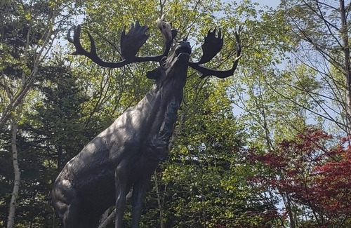 West End Apartment | Cozy 2-Bedroom Apartment in the Heart of the City