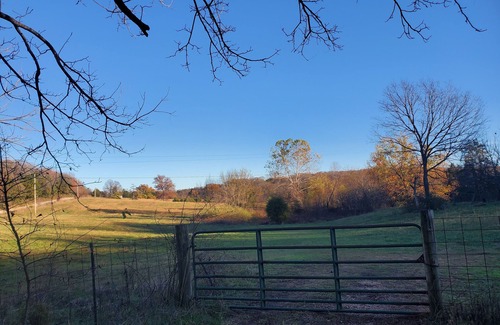 Powell House | Cozy 3 bedroom house with cabin vibes and a beautiful view