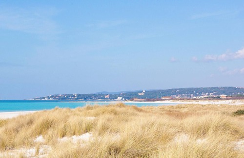 Castellina Marittima Apartment | Cozy apartment in Castellina Marittima