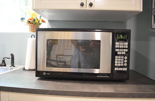 Maple Hill Apartment | Cozy Apartment in Private, Wooded Hillside Home Enjoy Biking, Hiking, Kayaking