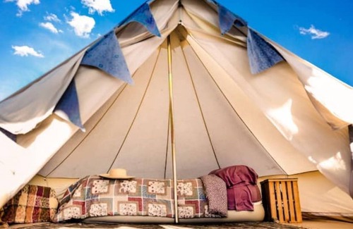 Hot Springs RV Rental | Cozy Blue Camp w/ Access to Outdoor Kitchen