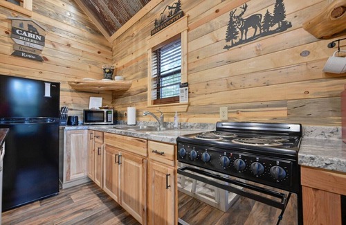 Mena Cabin | Cozy Cabin 3 miles to WPG Slps 4, ATV friendly