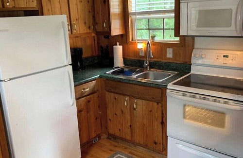 Homosassa Cabin | Cozy cabin by the river/pet friendly