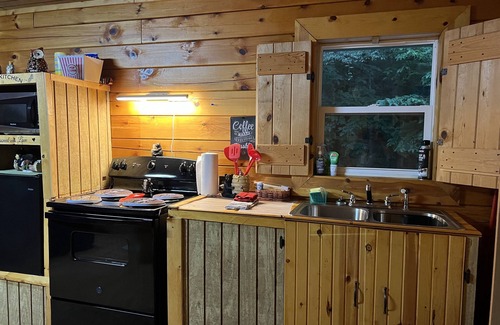 Wellston Cabin | Cozy cabin for two adults . no room to add extra . Cabin in the woods w Hot tub