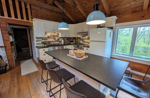 Denver Cabin | Cozy Cabin Getaway Minutes to Slopes, Trails& Town