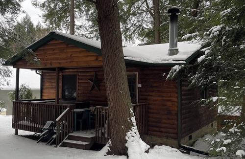 Clarington Cabin | Cozy Cabin In Cook Forest with hot tub