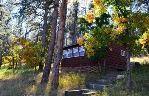 Keystone Cabin | Cozy cabin in the woods